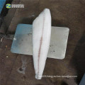 Frozen Oilfish Butterfish Fillet Lepidocybium Flavbruneum